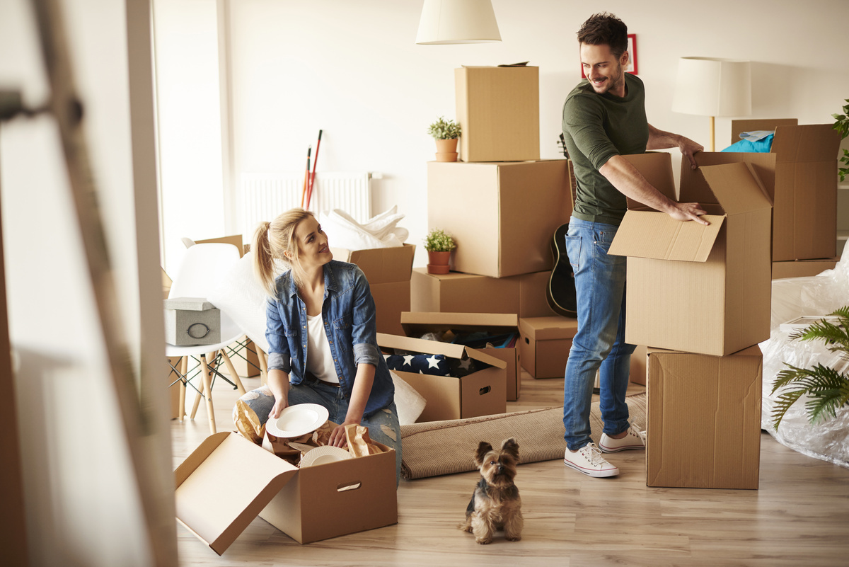 Umzug & Formalitäten in Stralsund – Checklisten, Tipps und Services